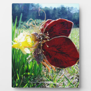 Fairy in den Affodien Fotoplatte