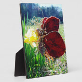 Fairy in den Affodien Fotoplatte (Seite)