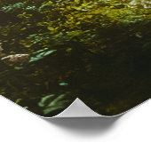 Fairy in einem magischen Wald Poster (Ecke)