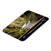 Fairy Jungle, Kiwi trekking /Neuseeland Magnet (Linke Seite)