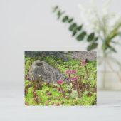 Fairy Landscape Postkarte (Stehend Vorderseite)