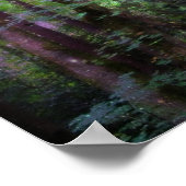 Fairy Lights Surreal Forest Poster Print (Ecke)