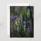 Fairy Lights Surreal Forest Postkarte (Vorne/Hinten)