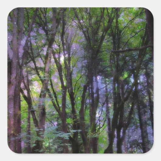 Fairy Lights Surreal Forest Quadratischer Aufkleber (Vorderseite)