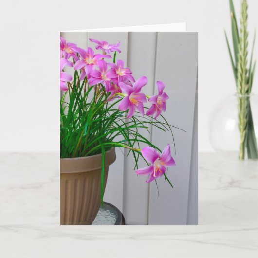 Fairy Lilies Original Still Life-Karte Karte (Vorderseite)