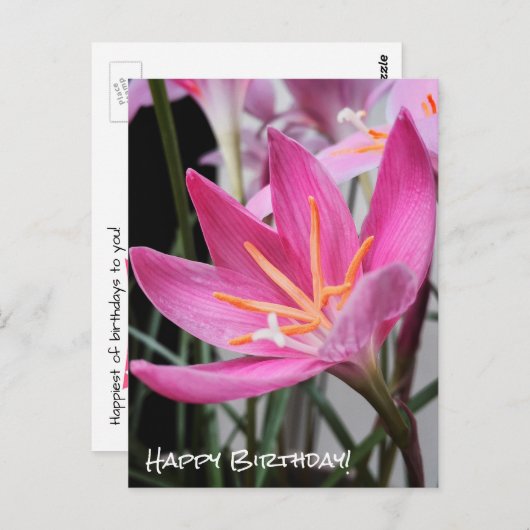 Fairy Lily Birthday wünscht Postcard Postkarte (Vorne/Hinten)