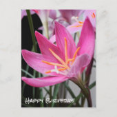 Fairy Lily Birthday wünscht Postcard Postkarte (Vorderseite)