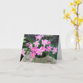 Fairy Lily Mitteilungskarten (Gelbe Blume)