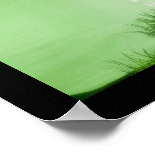 Fairy Magic II Poster (Ecke)