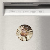 Fairy Magnet (In Situ (Geschirrspüler))