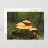 Fairy Mushroom Ring Postkarte (Vorne/Hinten)