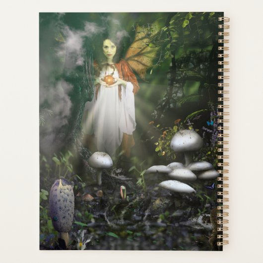 FAIRY OF THE WEST "GIFT" PLANER (Rückseite)