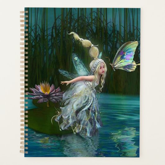 Fairy Planer (Vorderseite)