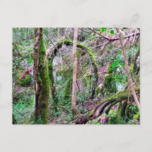 Fairy Portal - Rio de Mouros - Conímbriga - PT