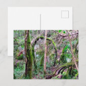 Fairy Portal - Rio de Mouros - Conímbriga - PT Postkarte (Vorne/Hinten)