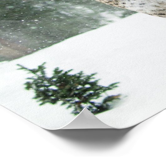 Fairy Princes & Leopard Winter Scene Forest Poster (Ecke)