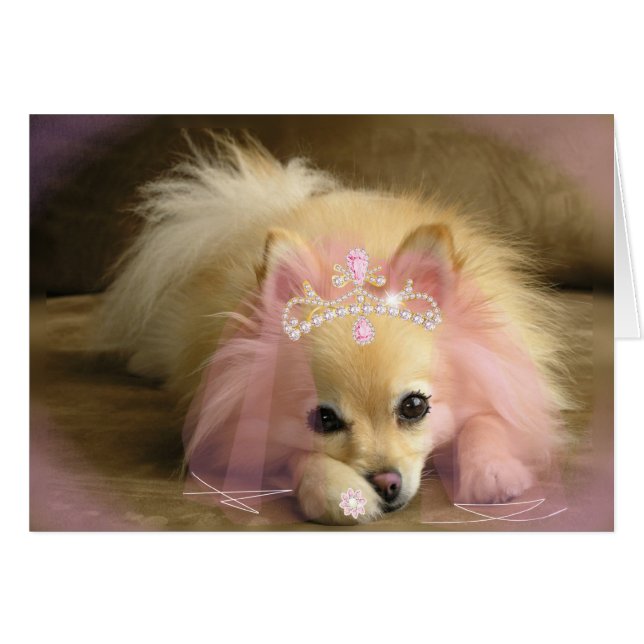 FAIRY PRINCESS DOG (Vorderseite (Horizontal))