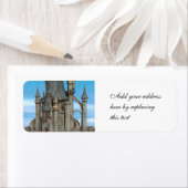 Fairy Tale Castle (Insitu)