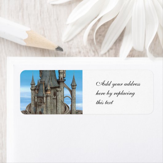 Fairy Tale Castle (Insitu)