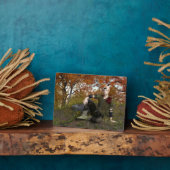 Fairy Tale Prince Fotoplatte (Seite)