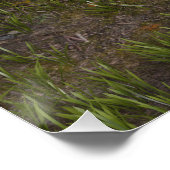 Fairy Tale Prince Poster (Ecke)