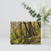 Fairy Tales Postkarte (Stehend Vorderseite)