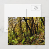 Fairy Tales Postkarte (Vorne/Hinten)