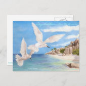 Fairy Terns Postkarte (Vorne/Hinten)