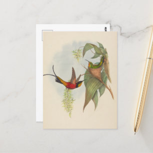 Fairy Topaz   John Gould Postkarte