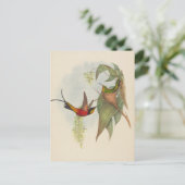 Fairy Topaz | John Gould Postkarte (Stehend Vorderseite)