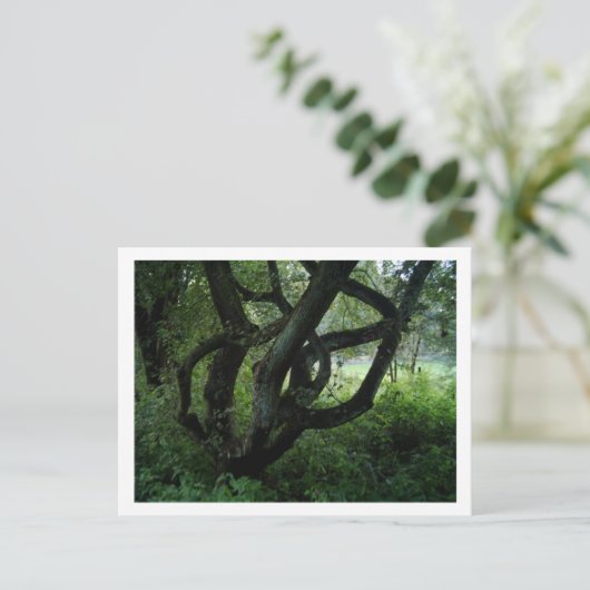 Fairy Tree Postkarte (Stehend Vorderseite)