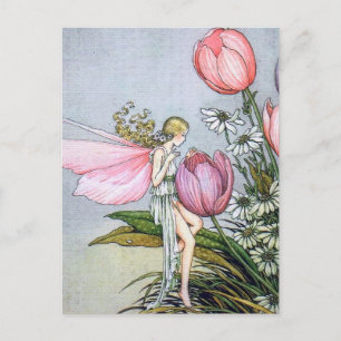 Fairy Tulips Vintag Illustration Postkarte