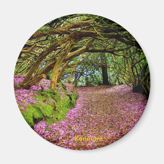 Fairy Tunnel, Kenmare Magnet (Vorne)