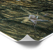 Fairy Twilight Poster (Ecke)