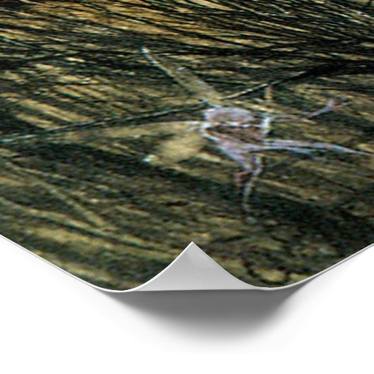 Fairy Twilight von John Anster Fitzgerald Poster (Ecke)