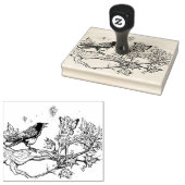 Fairy und Raven Gummistempel (Stempel)