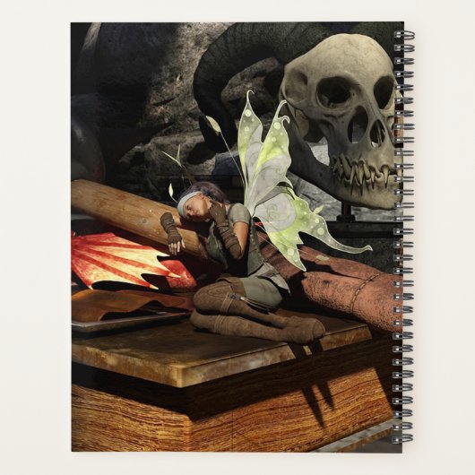 Fairy und Skull Planer (Rückseite)