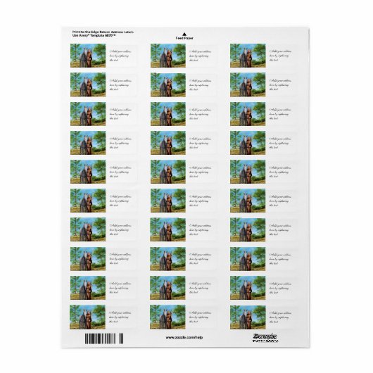 Fairy und Unicorn (Vorne)