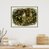 "Fairy with Owls" von Doyle - Print Poster (Küche)