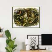 "Fairy with Owls" von Doyle - Print Poster (Heimbüro)