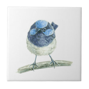 Fairy Wren Fliese