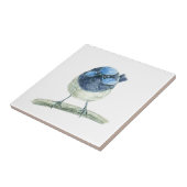 Fairy Wren Fliese (Seite)