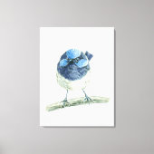 Fairy Wren Leinwanddruck (Vorderseite)