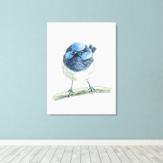 Fairy Wren Leinwanddruck (Insitu (Holzboden))