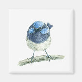 Fairy Wren Magnet (Vorne)