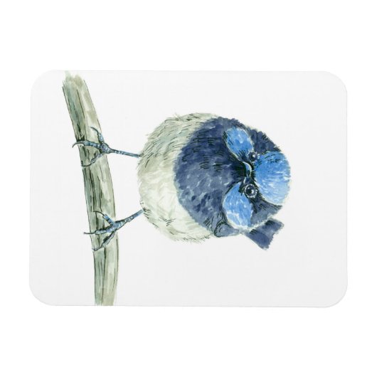 Fairy Wren Magnet (Horizontal)
