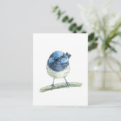 Fairy Wren Postkarte (Stehend Vorderseite)