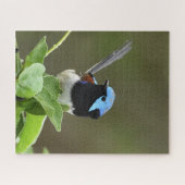 Fairy Wren Puzzle (Horizontal)