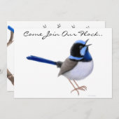 Fairy Wren Songbirds Party Einladung (Vorne/Hinten)