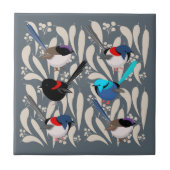 Fairy Wrens Fliese (Vorderseite)